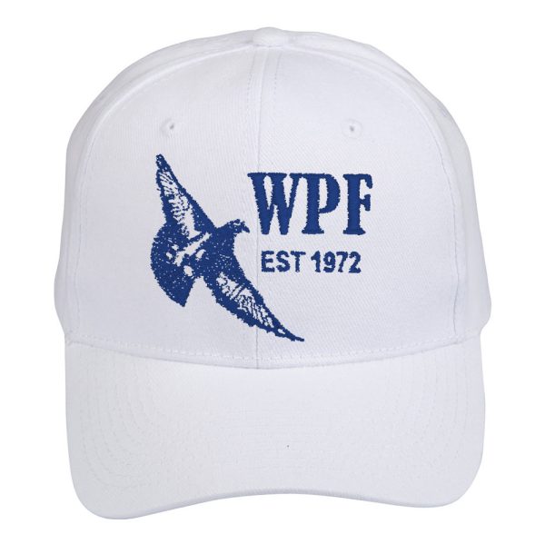 Heavy Brushed Cotton Cap - Image 4