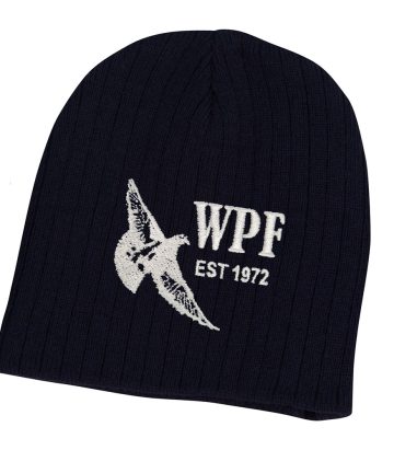 Cable Knit Beanie (Navy)