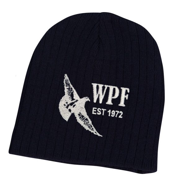 Cable Knit Beanie (Navy)