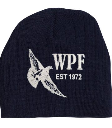Cable Knit Beanie With Fleece Head Band (Navy)